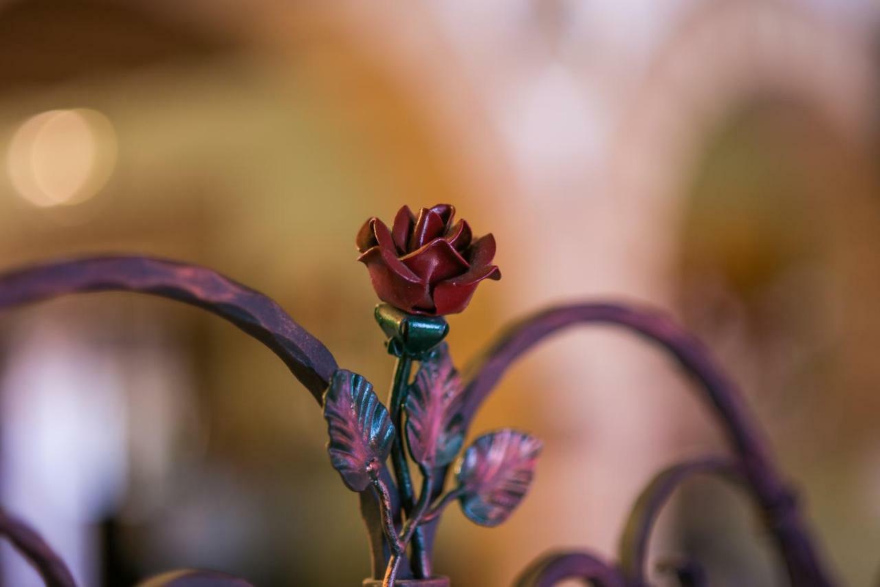 קודיגורו Il Dosso Agriturismo מראה חיצוני תמונה