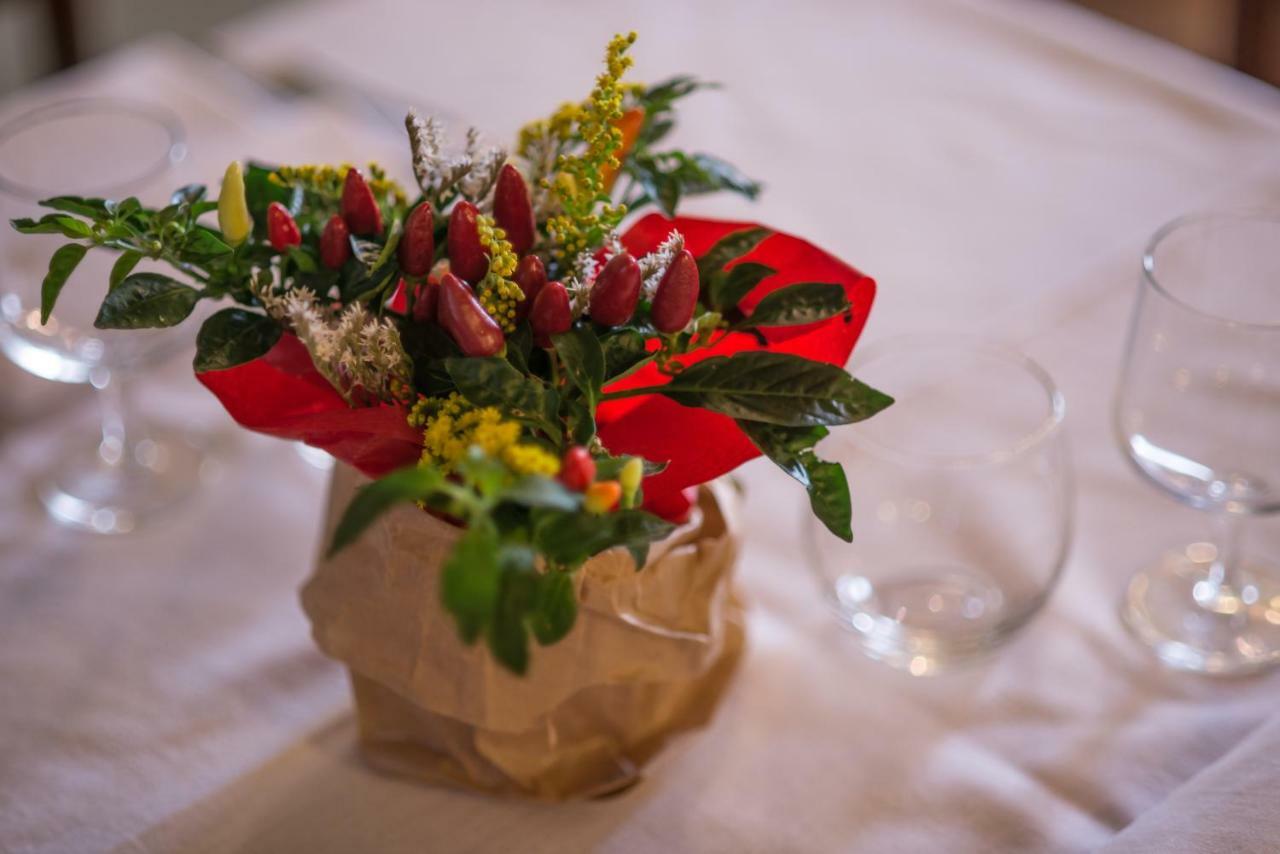 קודיגורו Il Dosso Agriturismo מראה חיצוני תמונה
